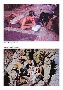 612 PARACHUTISTE AU 1ER RCP TOME III DE RENE SAUVAGE (77)